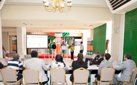L’INP-HB ORGANISE LA 3è EDITION  DE L’ « U7+ STUDENT CHALLENGE », LA 1re  EN AFRIQUE