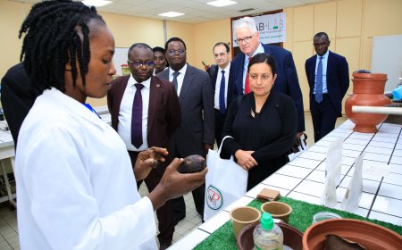 INP-HB et Université de San Diego : Vers un partenariat stratégique pour l'innovation et l'entrepreneuriat