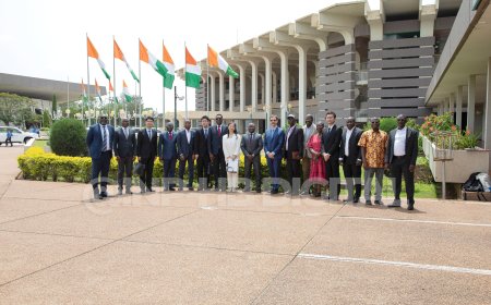 INP-HB INTERNATIONALISATION / OFFRE DE FORMATION : LANCEMENT DE LA PLATEFORME IIOE ET ÉVALUATION DU PROJET CFIT III : UN PAS DÉCISIF VERS L’INSERTION PROFESSIONNELLE