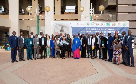 INP-HB-FORMATION-COOPERATION : HARMONISATION DES FORMATIONS EN PETROLE ET GAZ : L’INP-HB ACCUEILLE LA 3E REUNION DU FORUM DES INSTITUTS DE FORMATION EN OIL ET GAS DE L’APPO