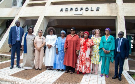 INP-HB/COOPERATION NATIONALE : VISITE DE LA DÉLÉGATION DE L’ASSEMBLÉE PARLEMENTAIRE DE LA FRANCOPHONIE (APF) À L’INP-HB